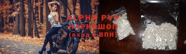 spice Беломорск