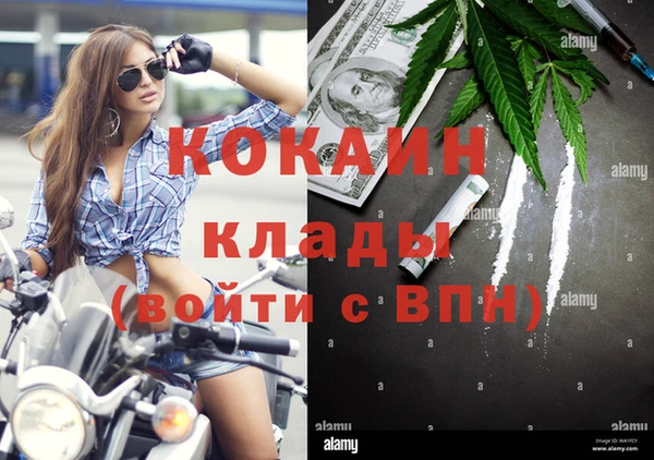 spice Беломорск