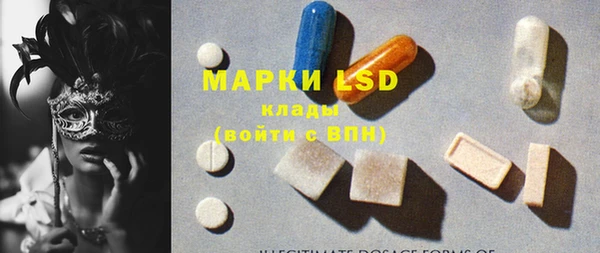 spice Беломорск